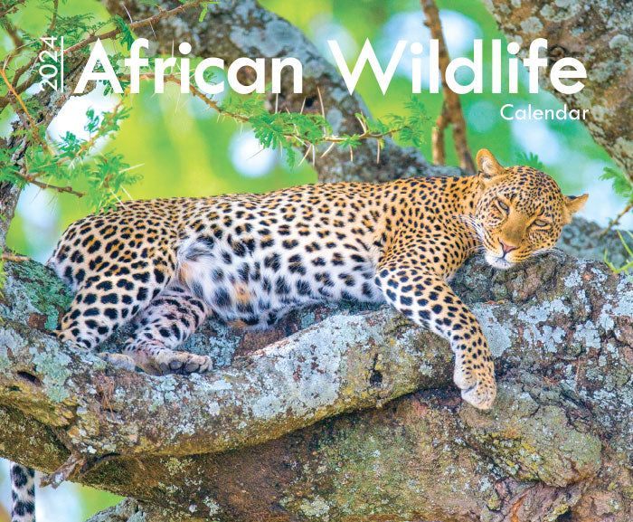 2024 Calendar A4: African Wildlife