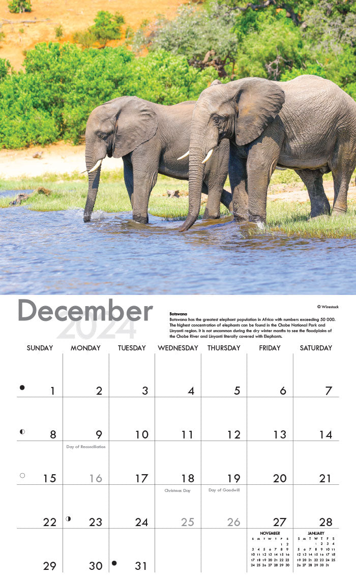 2024 Calendar A4:  Spectacular South Africa