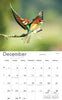 2024 Calendar A4: Birds of South Africa