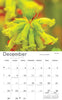 2024 Calendar A4: Flowers of SA