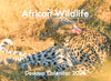 2024 Calendar Desktop: African Wildlife