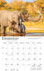 2024 Calendar A4: African Wildlife